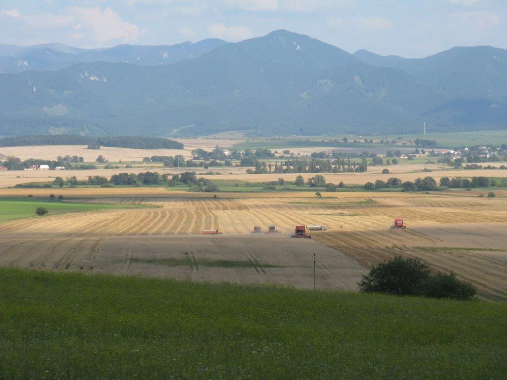 shptt.sk - Hydinárska tradícia z nášho regiónu